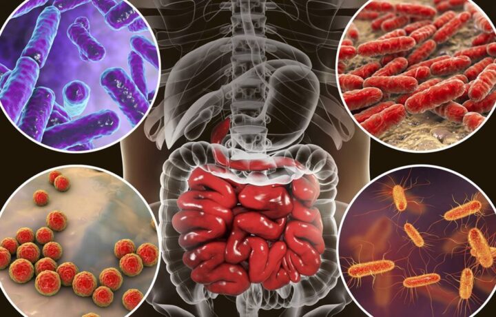 Imagen relacionada con: ¡DESCIFRADO! El código del Genoma Humano ha sido descifrado desde 2003, completado en 2021 y confirmado en 2022, evidenciado por los cientificos de la investigacion.