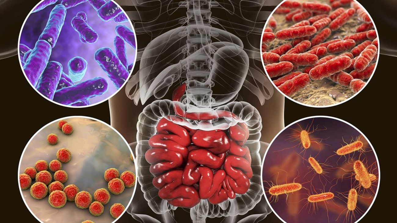 Imagen relacionada con: ¡DESCIFRADO! El código del Genoma Humano ha sido descifrado desde 2003, completado en 2021 y confirmado en 2022, evidenciado por los cientificos de la investigacion.